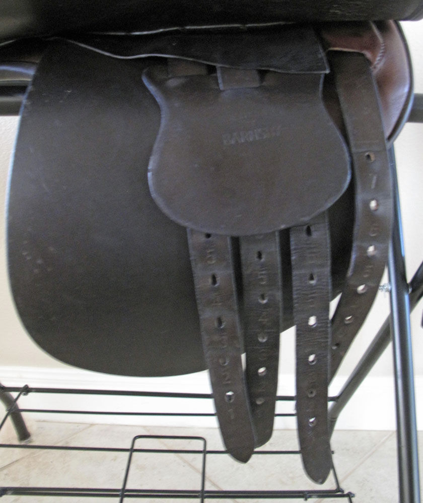Thumbnail: Shively MMX 20" - 2005 model