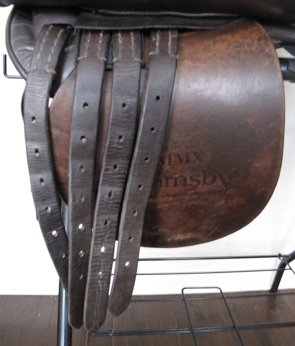 Thumbnail: 21" Shively MMX - 2011 model