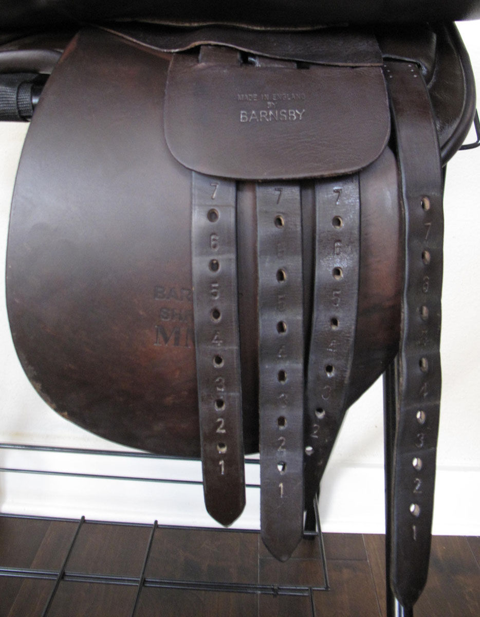 Thumbnail: 21" Shively MMX - 2008 model