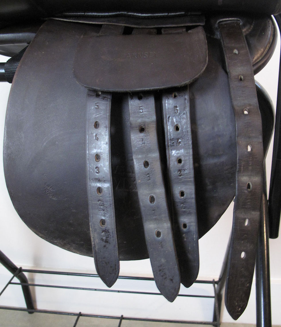 Thumbnail: 21" Shively MMX - 2008 model