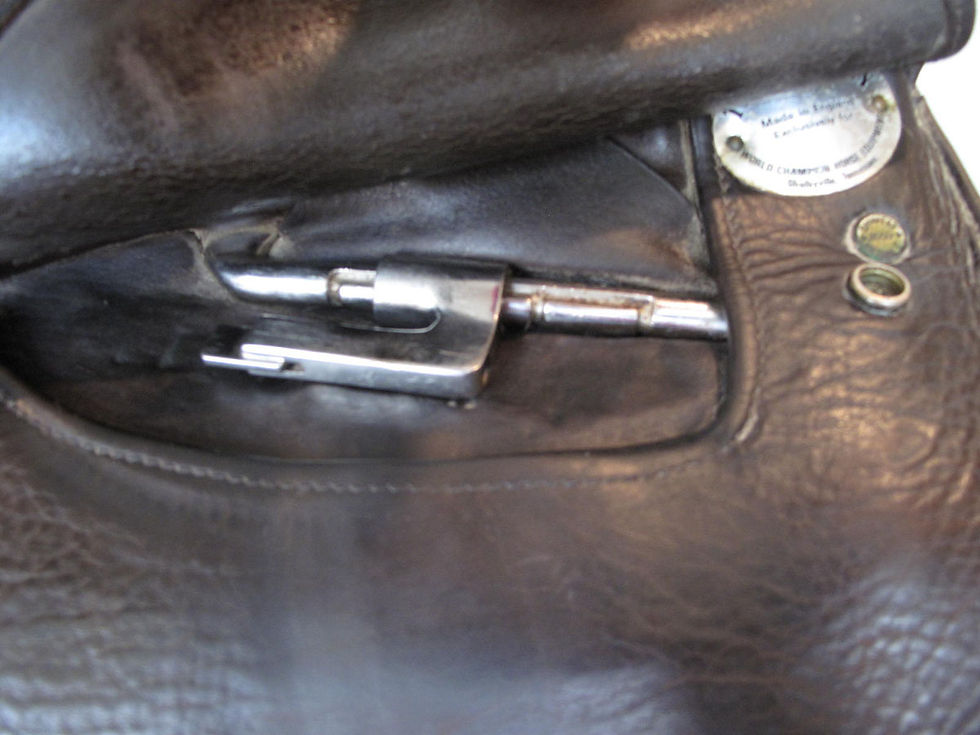 Thumbnail: 19" Shively MMX - 2001 model