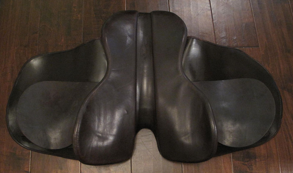 Thumbnail: 21" Shively MMX - 2005 model