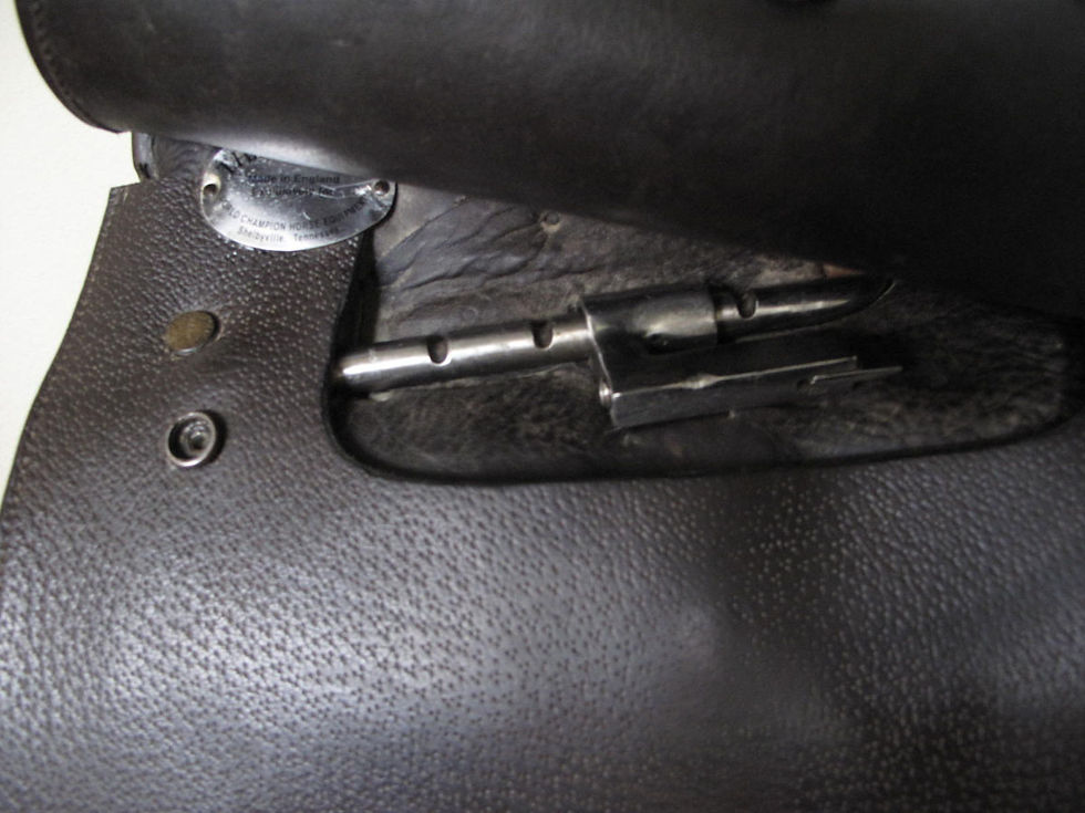 Thumbnail: 22" Shively 2000 - 2010 model