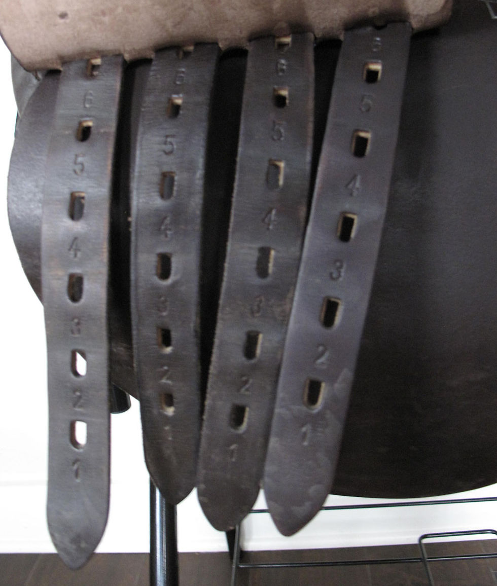 Thumbnail: 21"M ASC Scottsdale - 2010 model
