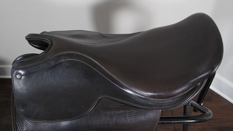 Thumbnail: 21" Shively MMX - 2005 model