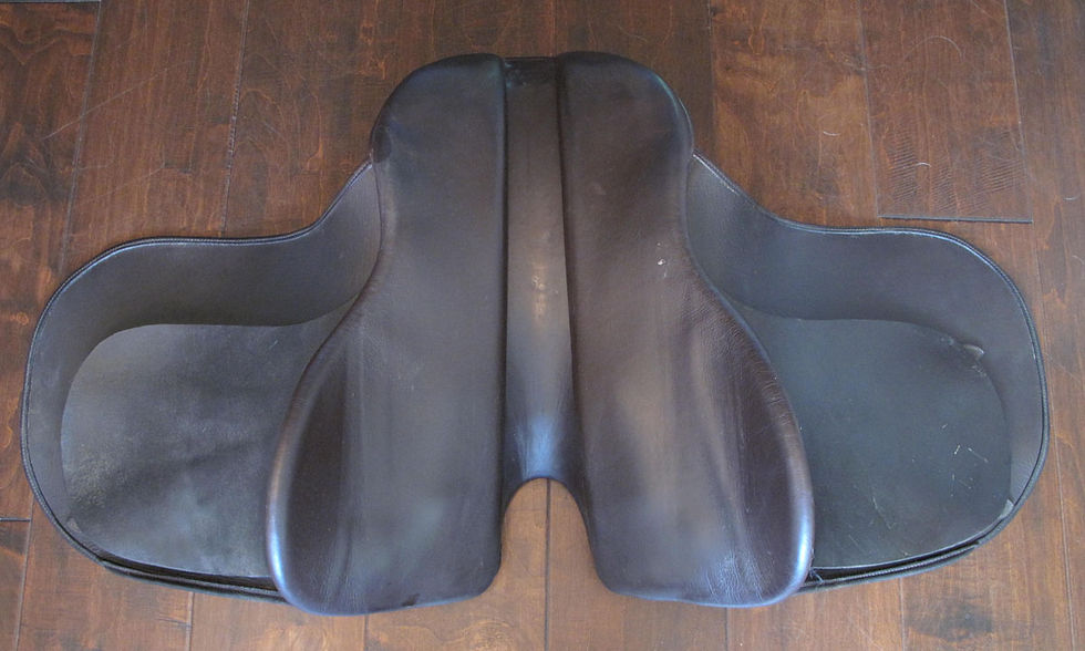 Thumbnail: 22" Freedman WCSG #2 - 2013 model