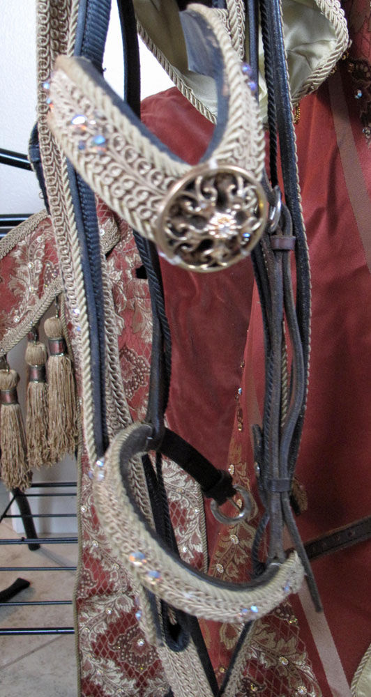 Thumbnail: California Arabian Costumes Copper/Gold