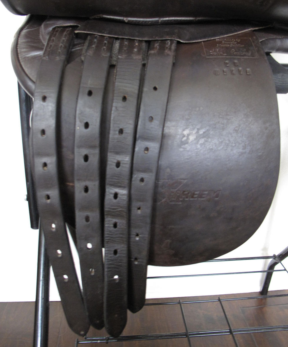 Thumbnail: 20" Shively MMXTreem - 2011 model