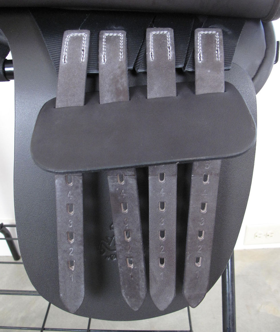 Thumbnail: 22" Freedman VP HP - 2024 model