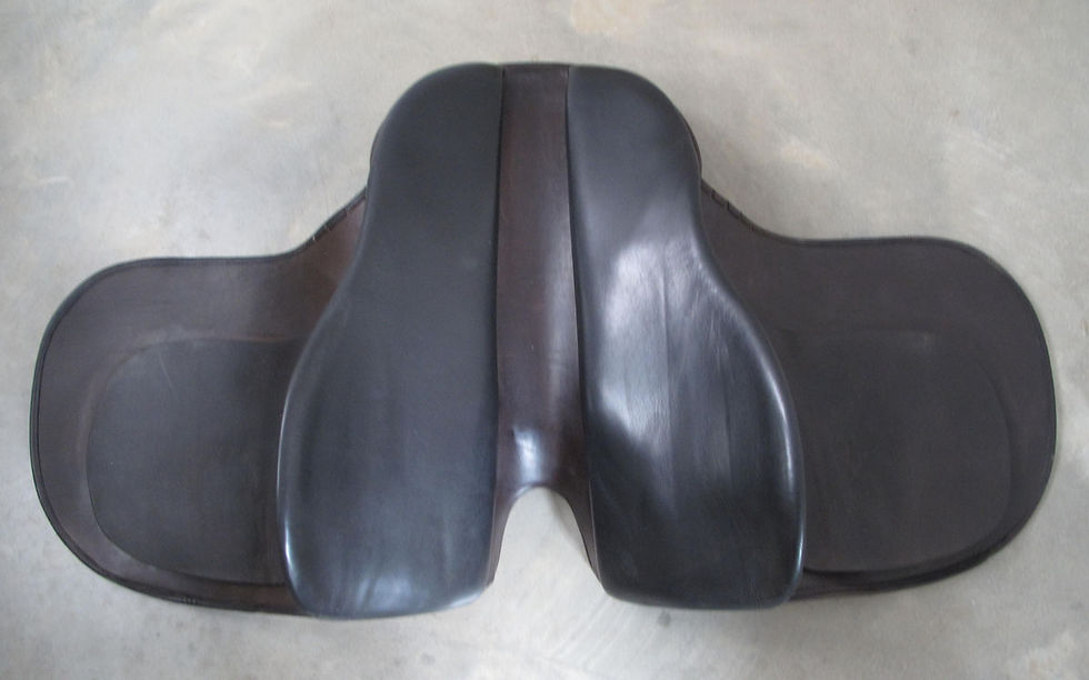 Thumbnail: 22" Freedman Victory Pass - 2009 model
