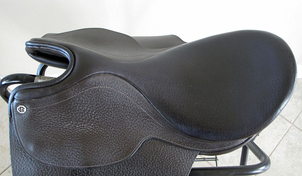Thumbnail: 19" Barnsby La Croix - 2006 model
