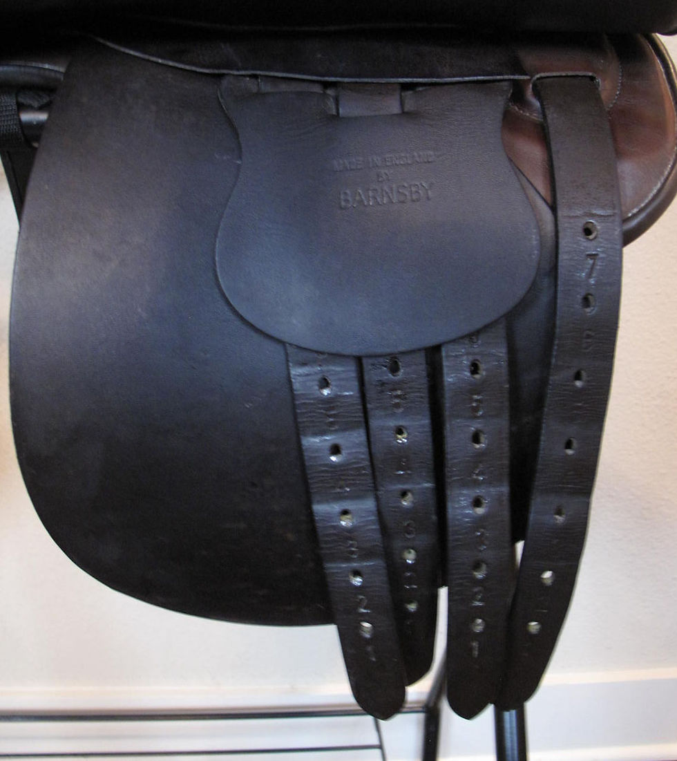 Thumbnail: 21" Shively MMX - 2005 model