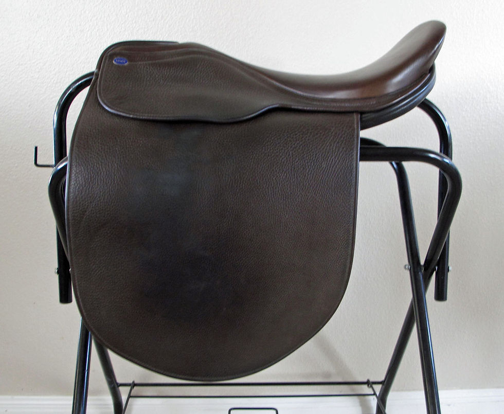 Thumbnail: 20" Shively MMX - 2011 model