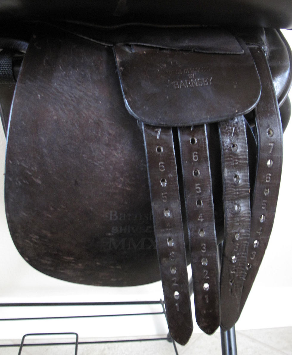 Thumbnail: Shively MMX 21" - 2007 model