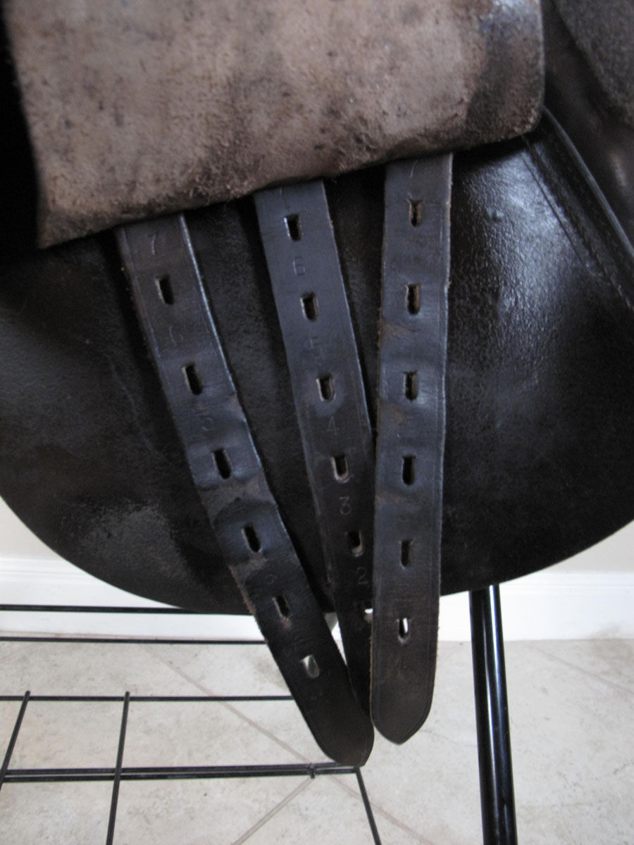 Thumbnail: Arabian Saddle Company Elan 17.5" XW - 2003