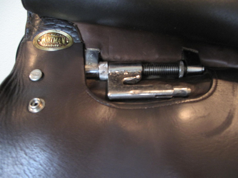 Thumbnail: 20"Whitman - W/XW tree - adjustable bars