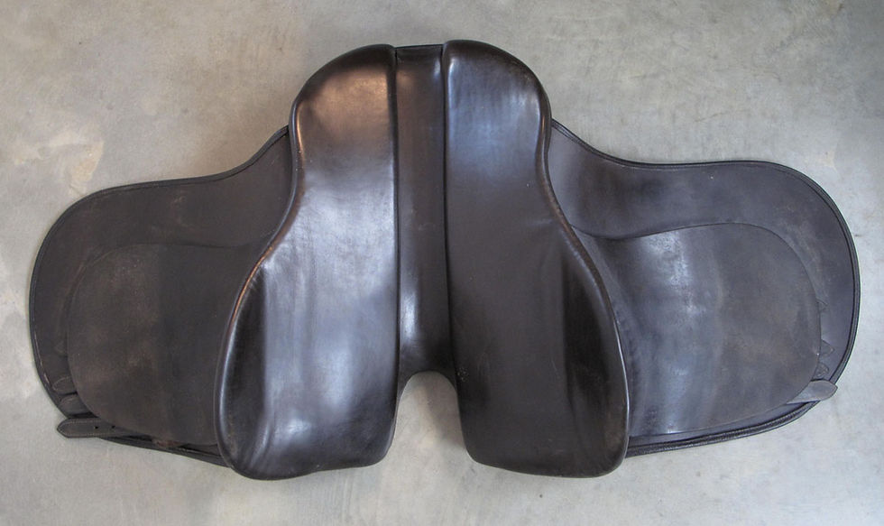 Thumbnail: 21" Freedman WCSG - 2016 model