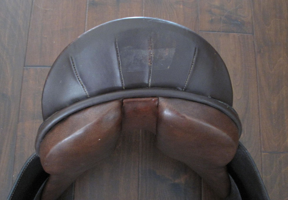 Thumbnail: 21" Blue Ribbon Deep Seat