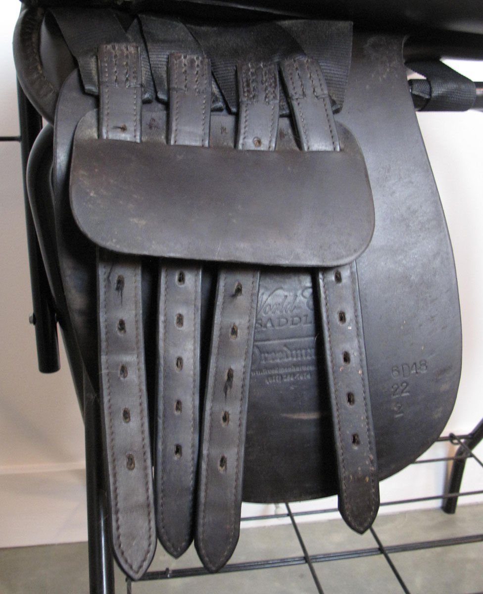 Thumbnail: 22" Freedman WCSG - 2015 model