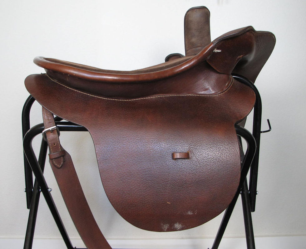 Thumbnail: 20" Comal Brown Sidesaddle - suede seat