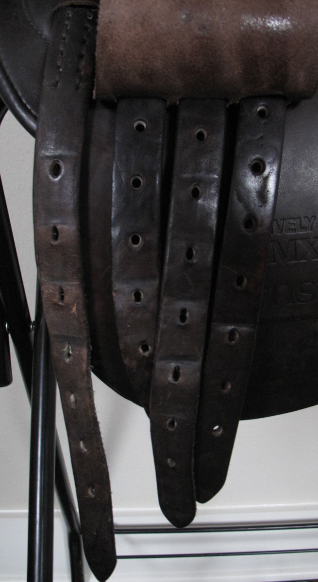 Thumbnail: 21" Shively MMX - 2012 model - new bars