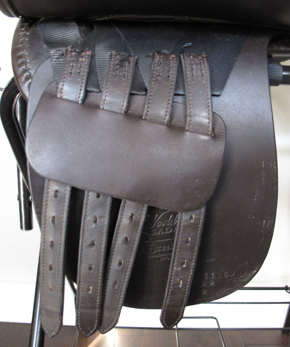 Thumbnail: 22" Freedman WCSG - 2011 model