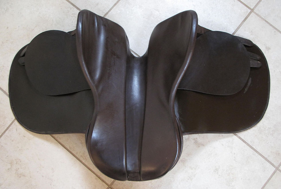 Thumbnail: Shively MMX 21" - 2007 model