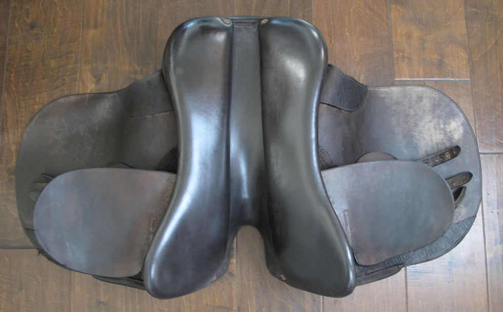 Thumbnail: 22" JS Millennium 3000 - 2015 model