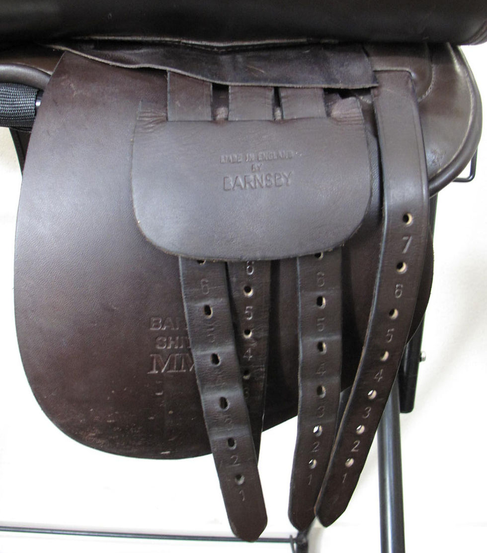 Thumbnail: 21" Shively MMX - 2008 model #2