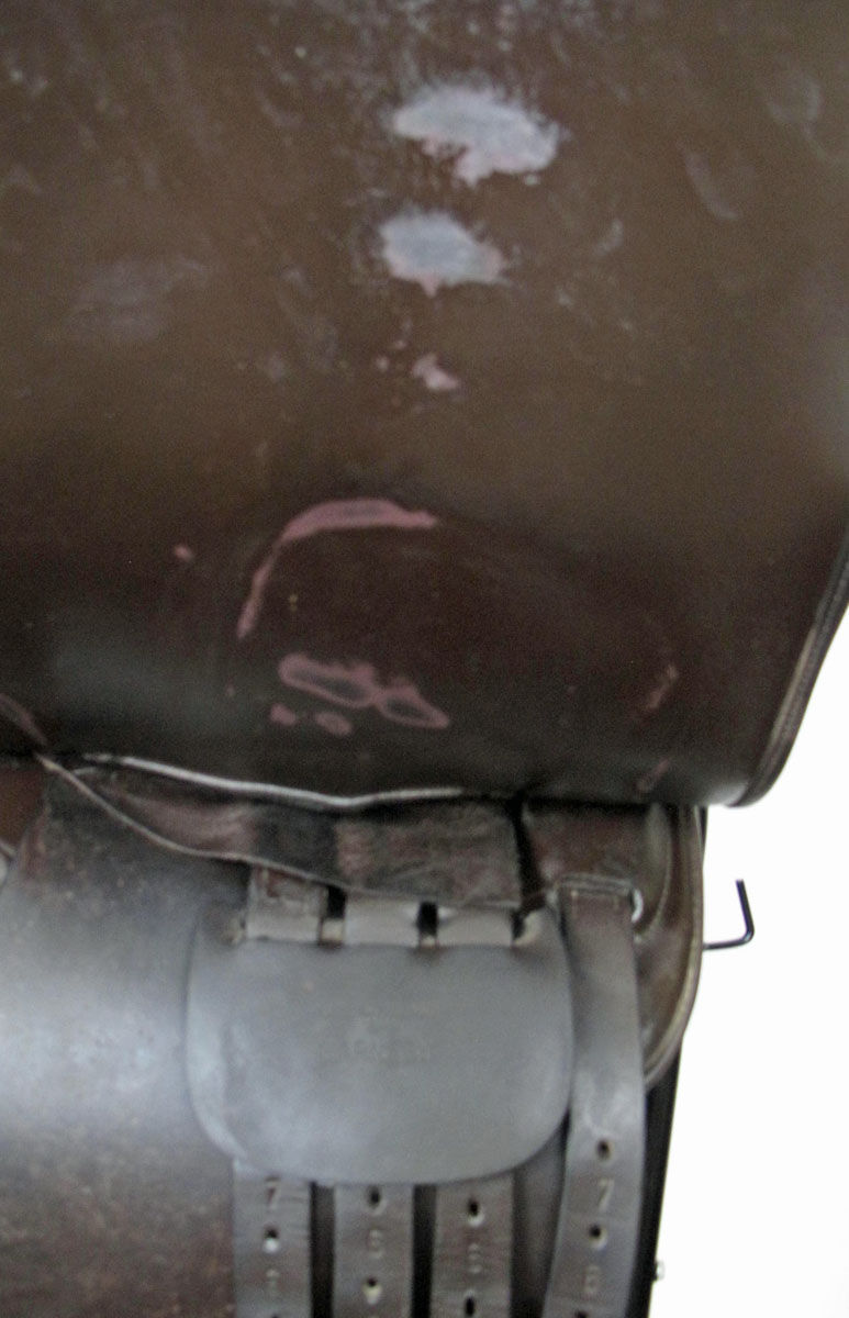 Thumbnail: 22" Shively MMX - 2007 model