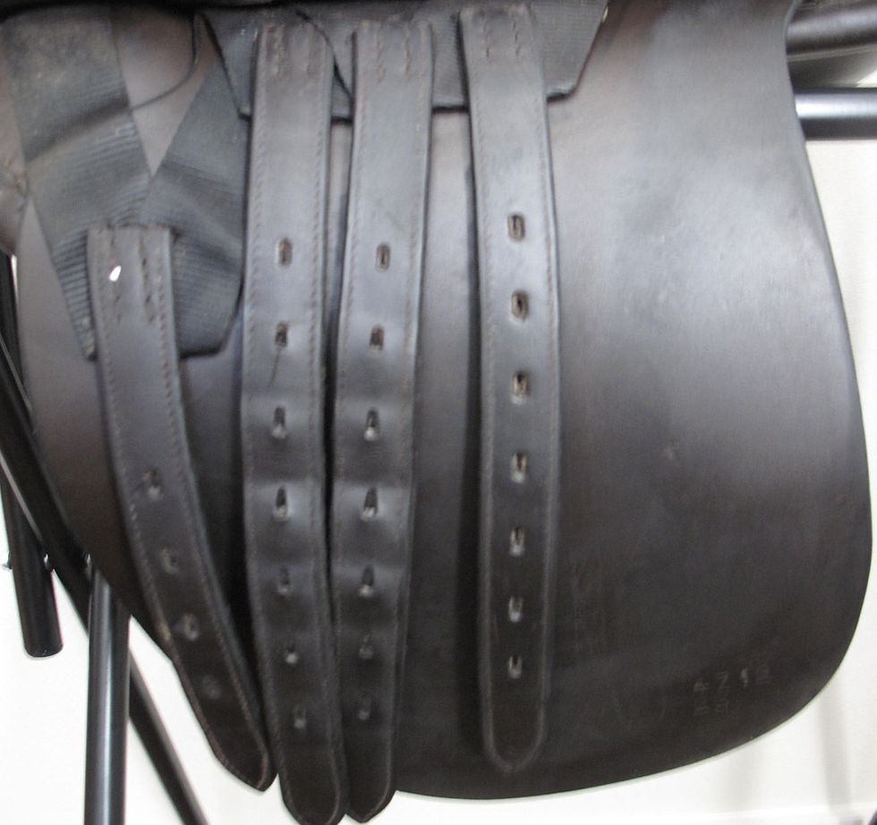 Thumbnail: 23" Freedman WCSG - 2011 model