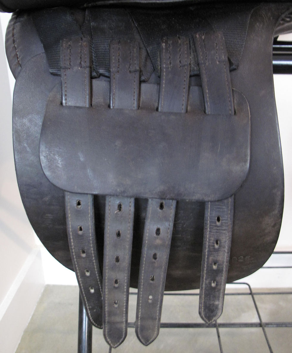 Thumbnail: 22" Freedman WCSG - 2015 model