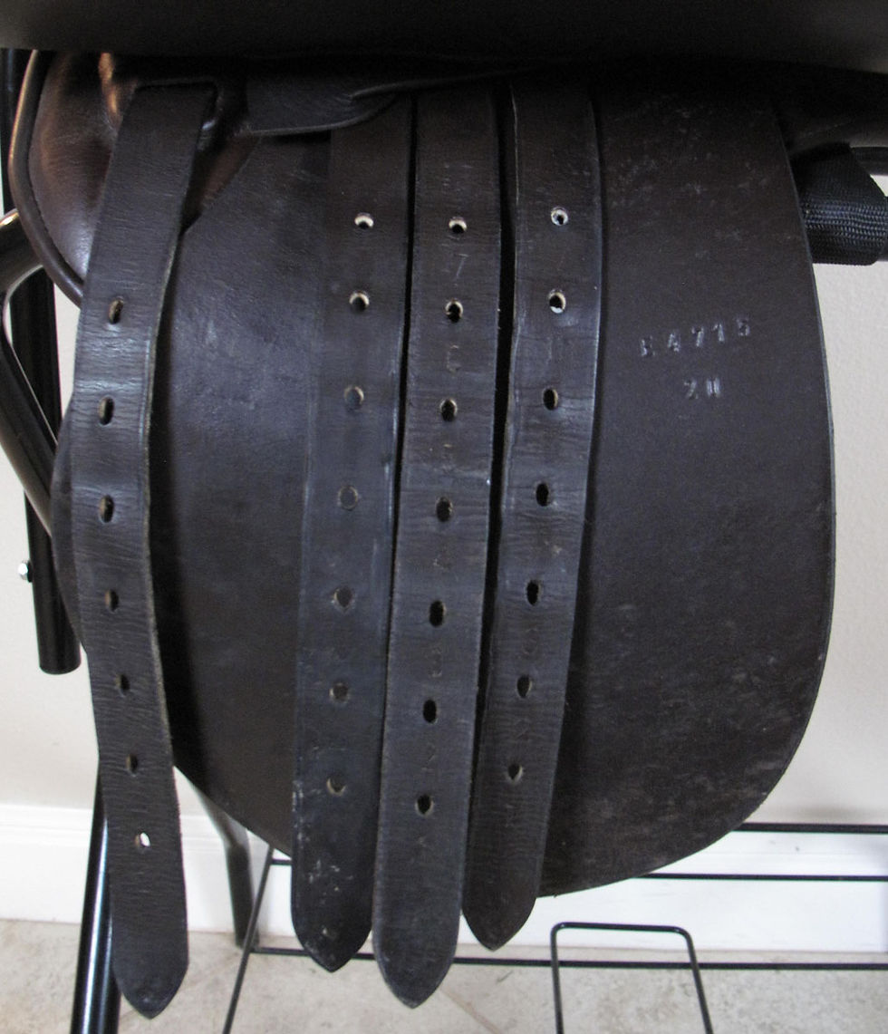 Thumbnail: Shively MMX 20" - 2005 model
