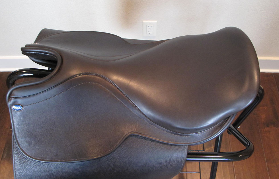 Thumbnail: 19" Shively MMX - 2012 model