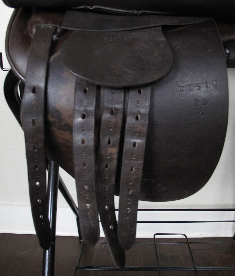 Thumbnail: 20" Shively MMX - 2004 model