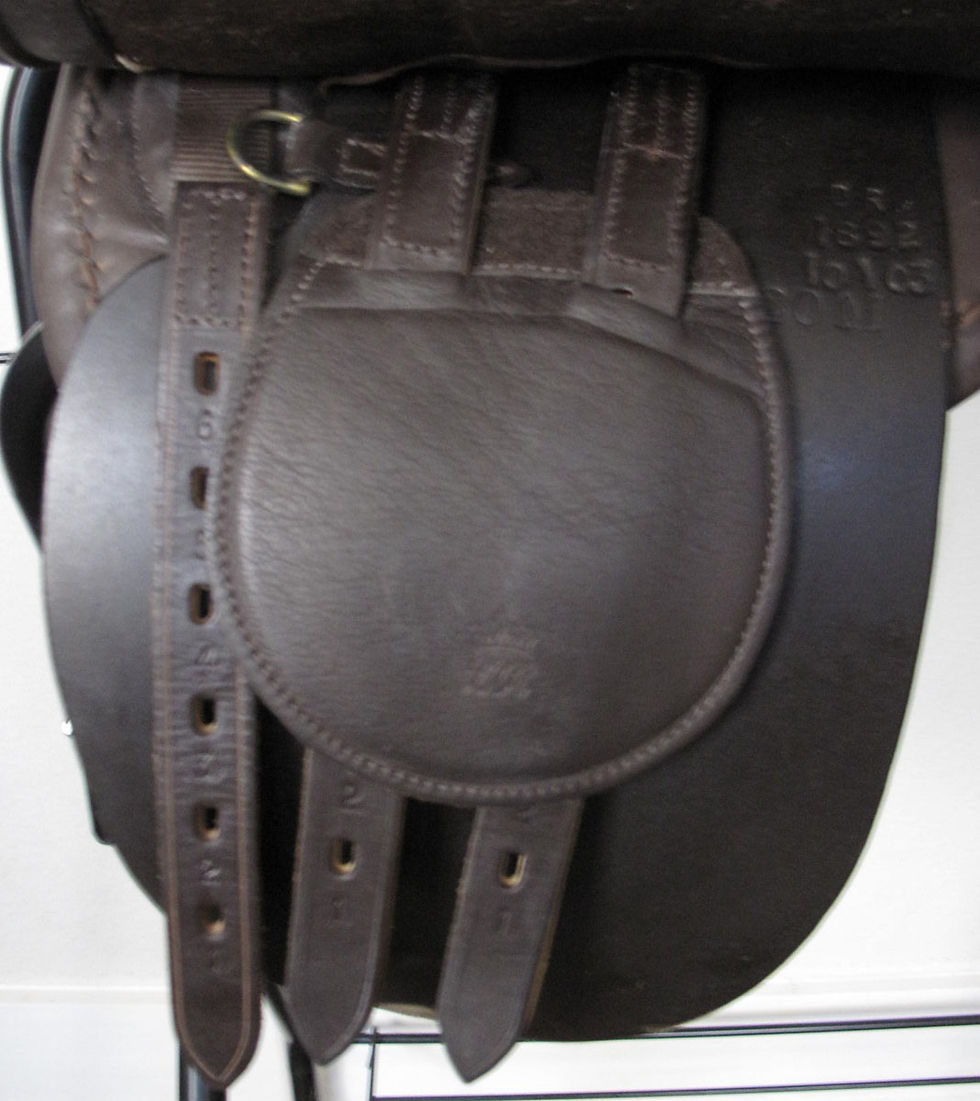 Thumbnail: 20"M ASC Scottsdale - 2003 model