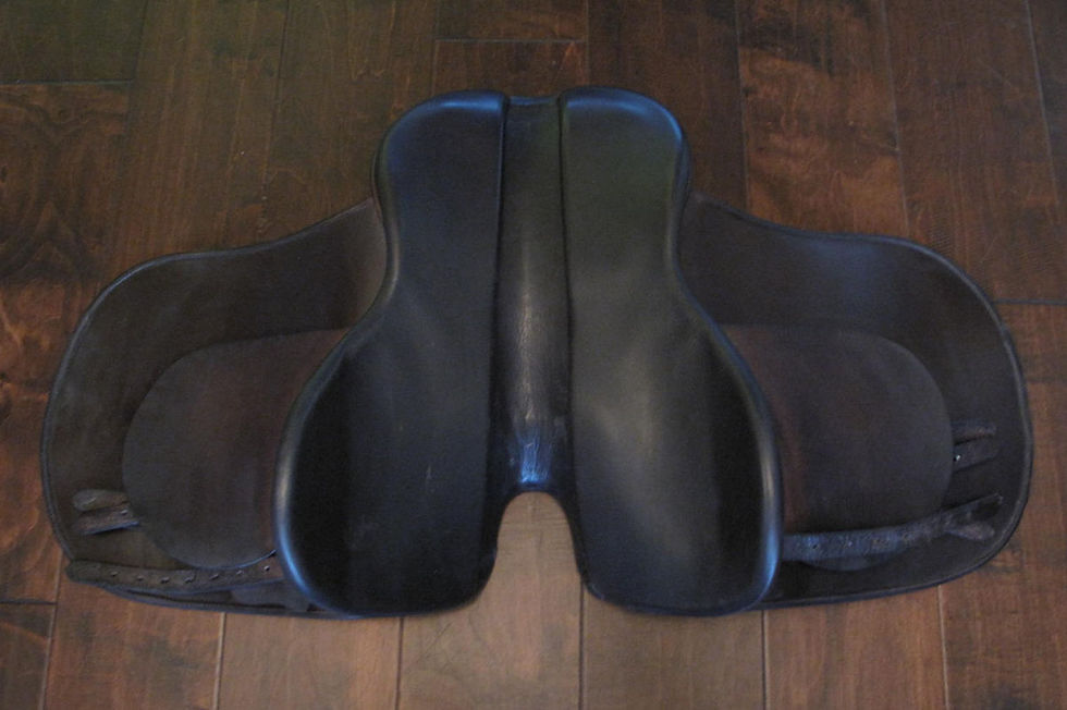 Thumbnail: 20" Shively MMX - 2014 model