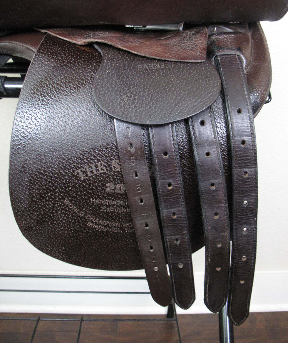 Thumbnail: 21" Shively 2000 - 2003 model