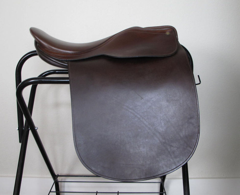Thumbnail: 19" Shively 2000 - 2002 model