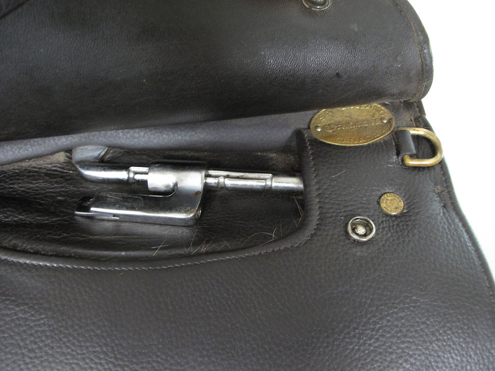 Thumbnail: 23" Freedman WCSG - 2015 model