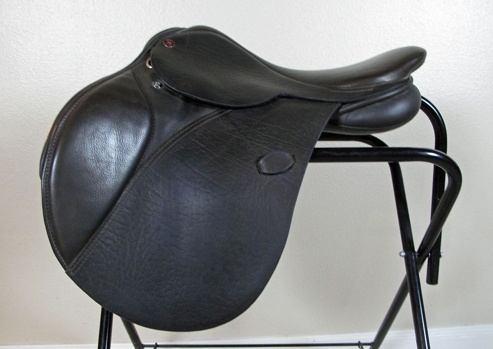 17"W Arabian Saddle Company Elan - 2013 model