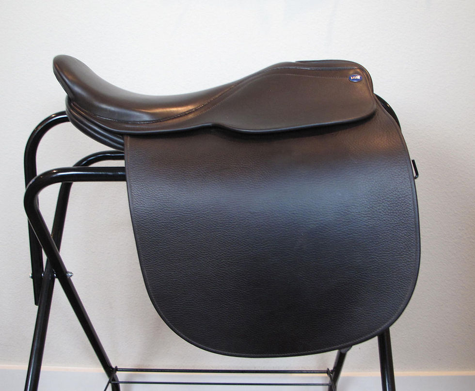 Thumbnail: 19" Shively MMX - 2012 model