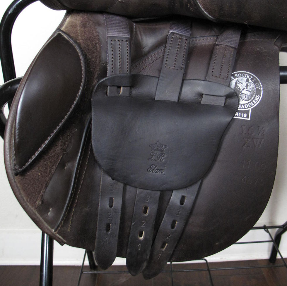 Thumbnail: 16.5"XW ASC Elan - 2009 model