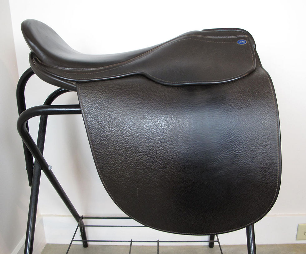 Thumbnail: 21" Shively MMX - 2019 model