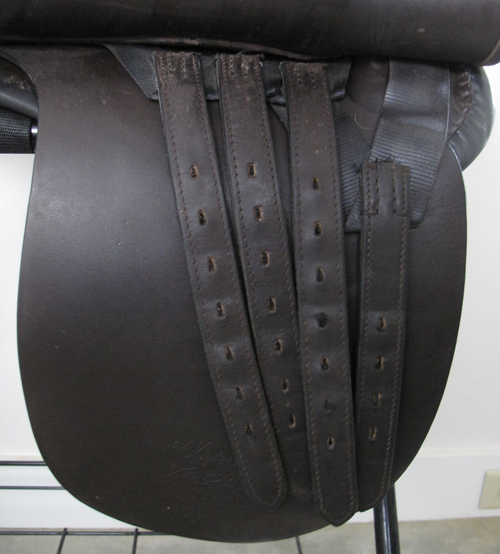 Thumbnail: 22" Freedman Victory Pass - 2009 model