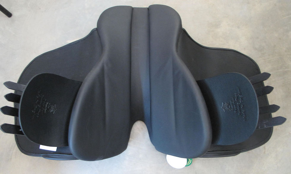 Thumbnail: 21"M ASC Beaufort DS BLK - 2023 model