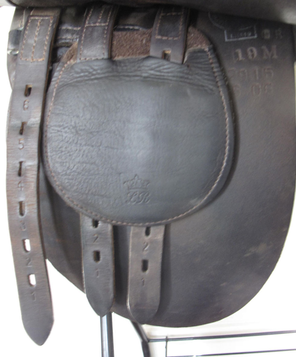 Thumbnail: 19"M ASC Scottsdale - 2006 model