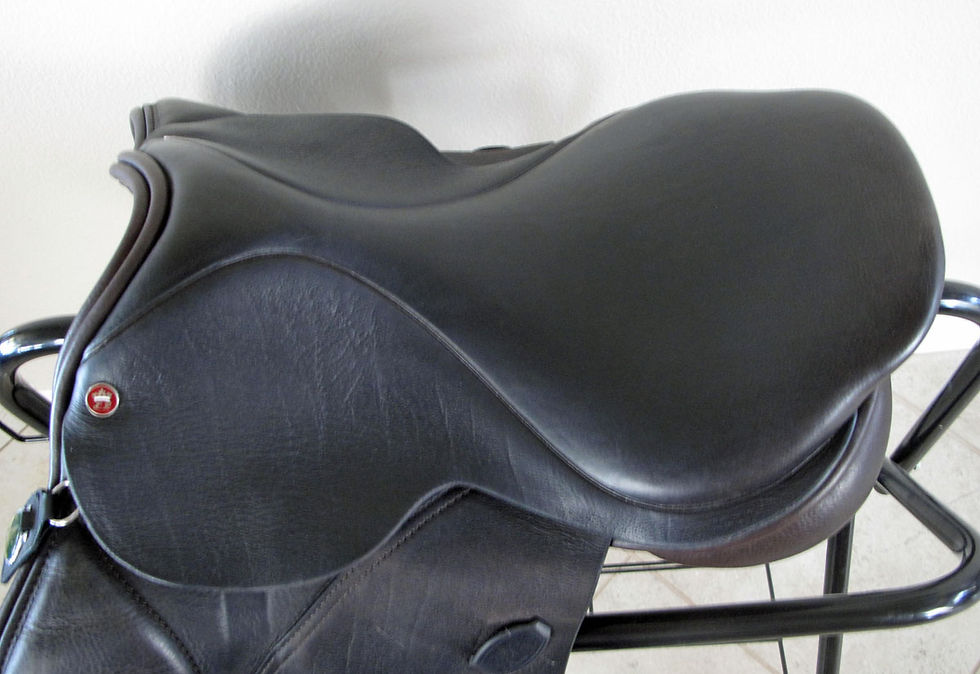 Thumbnail: 16.5"W Arabian Saddle Company Elan - 2008 model