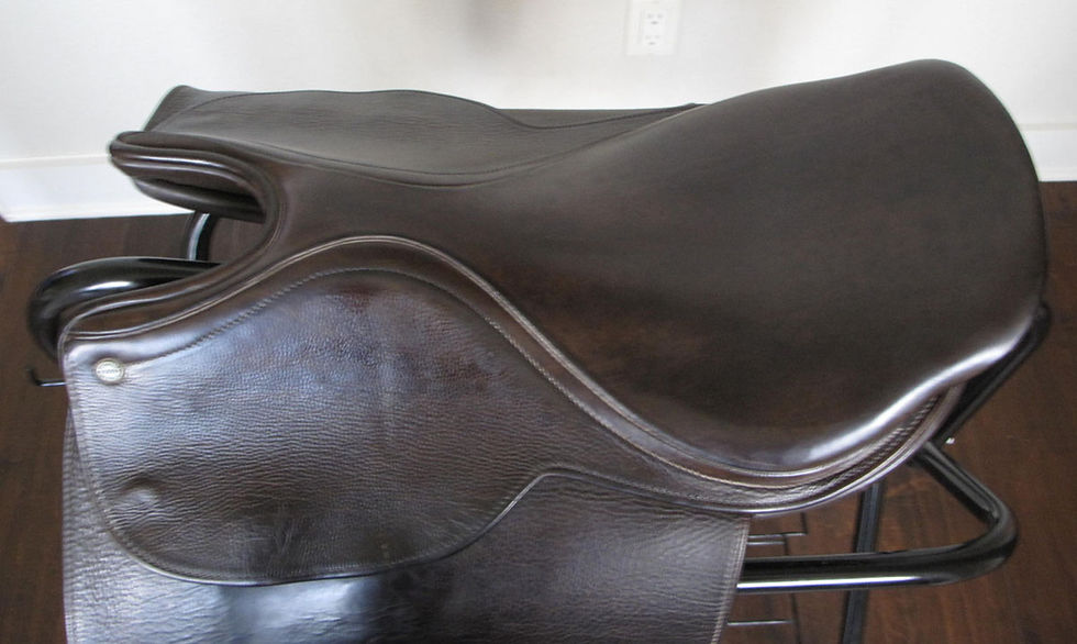 Thumbnail: 19" Shively MMX - 2001 model