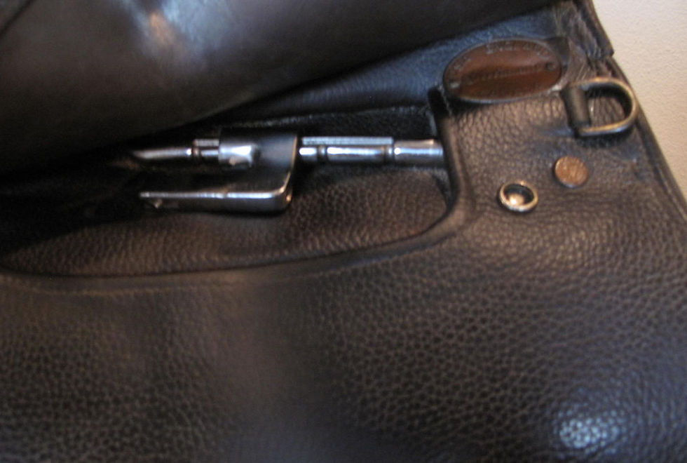 Thumbnail: 22" Freedman WCSG - 2015 model